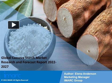 Cassava market Demand and Growth Insights 2023.